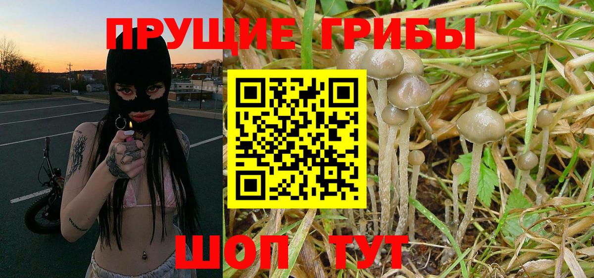 Галлюциногенные грибы GOLDEN TEACHER Уссурийск